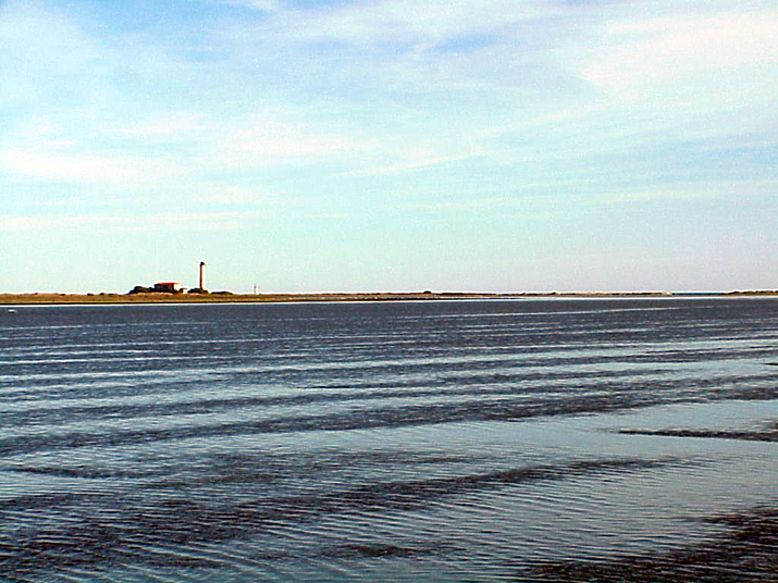 2004-08 Céline Camargue 021.JPG